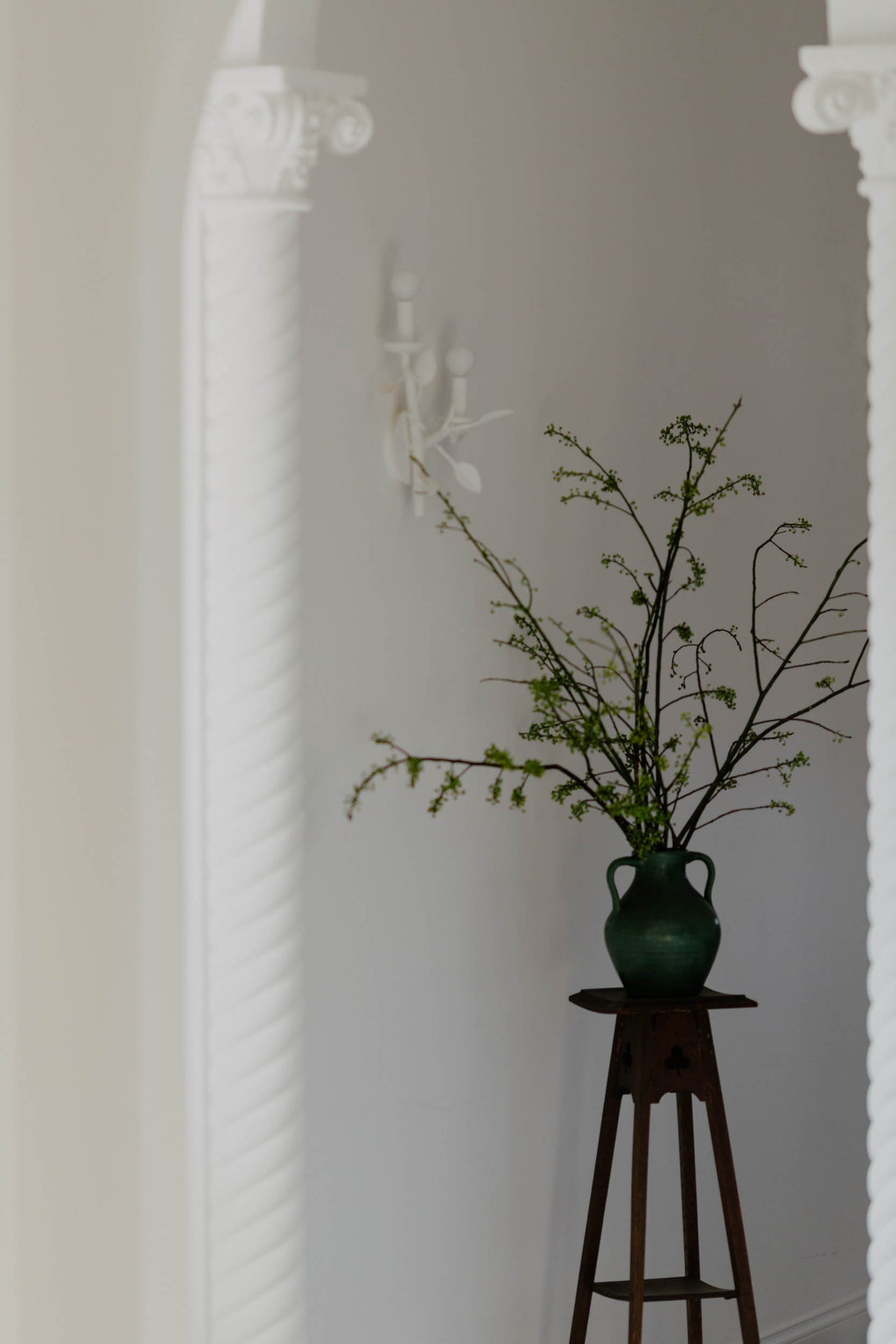 Tess Interiors | With a focus on intentional, liveable luxury, it’s our goal to make every corner of your space feel like a natural extension of you. Based in Los Angeles; designing wherever you call home.